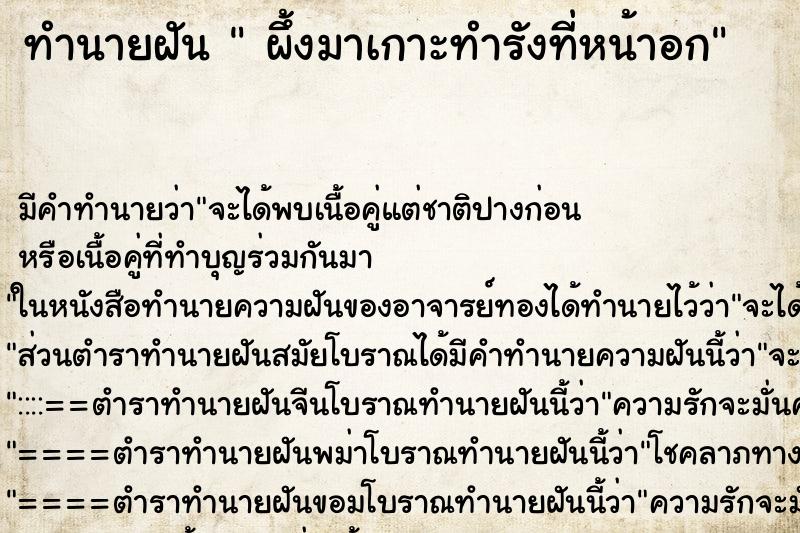ทำนายฝันทำนายฝันผึ้งมาเกาะทำรังที่หน้าอก